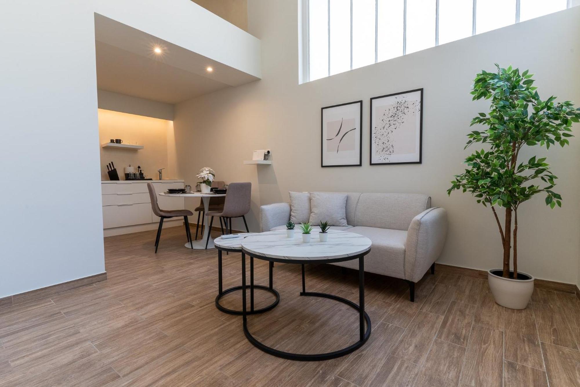 雅典Acropolis Local Loft公寓 外观 照片